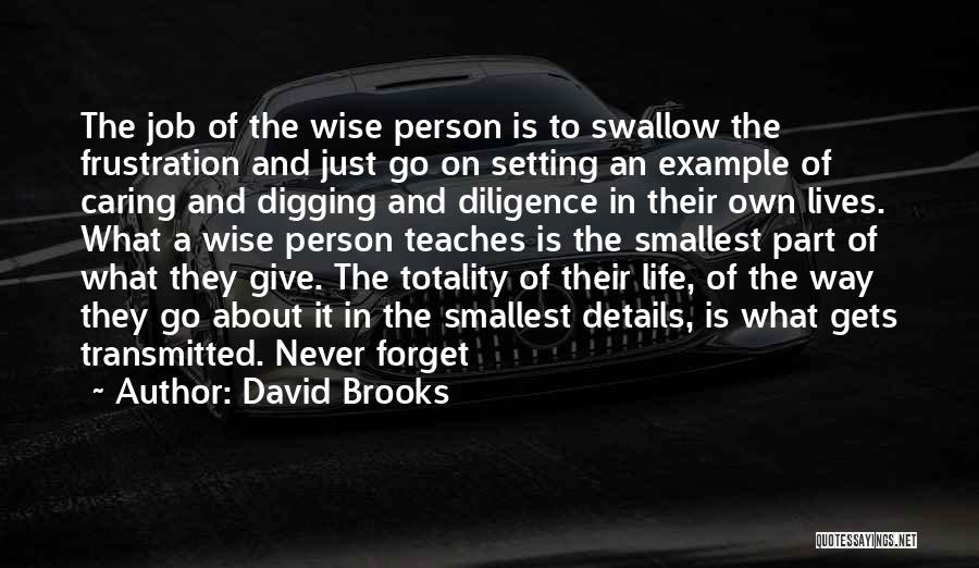 David Brooks Quotes: The Job Of The Wise Person Is To Swallow The Frustration And Just Go On Setting An Example Of Caring