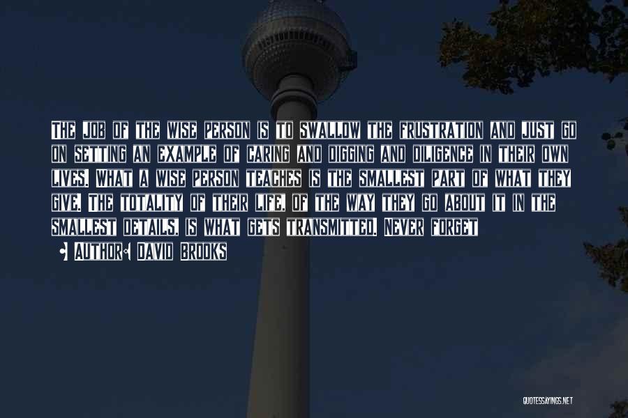 David Brooks Quotes: The Job Of The Wise Person Is To Swallow The Frustration And Just Go On Setting An Example Of Caring