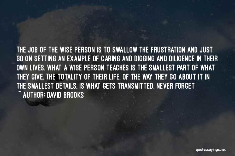 David Brooks Quotes: The Job Of The Wise Person Is To Swallow The Frustration And Just Go On Setting An Example Of Caring
