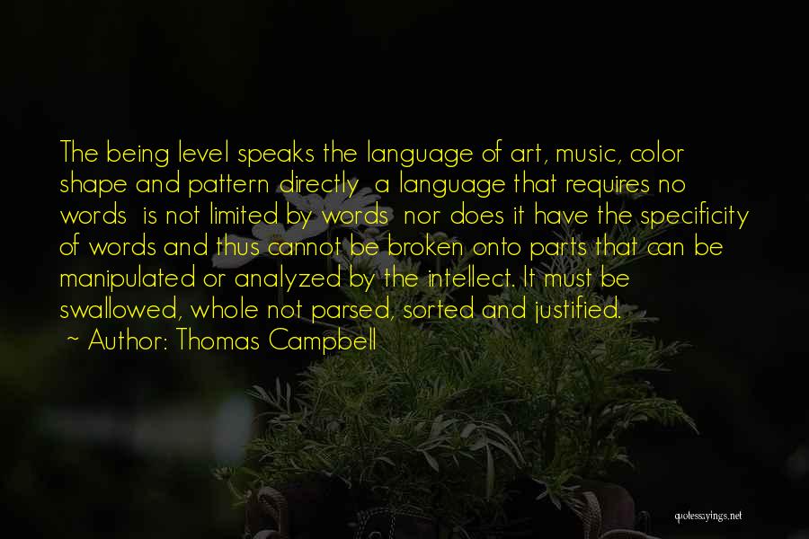 Thomas Campbell Quotes: The Being Level Speaks The Language Of Art, Music, Color Shape And Pattern Directly A Language That Requires No Words