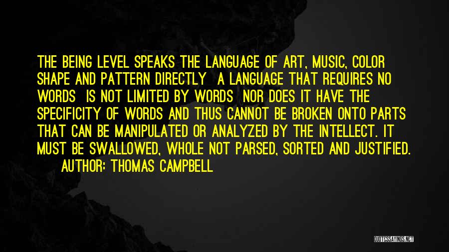 Thomas Campbell Quotes: The Being Level Speaks The Language Of Art, Music, Color Shape And Pattern Directly A Language That Requires No Words