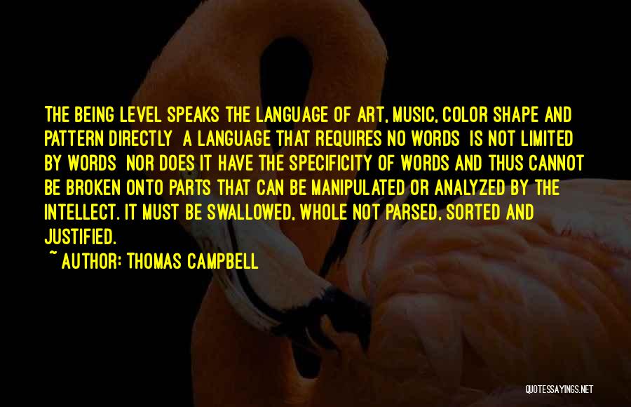 Thomas Campbell Quotes: The Being Level Speaks The Language Of Art, Music, Color Shape And Pattern Directly A Language That Requires No Words