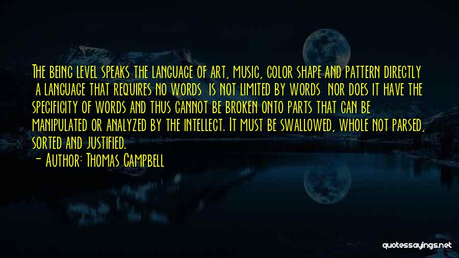 Thomas Campbell Quotes: The Being Level Speaks The Language Of Art, Music, Color Shape And Pattern Directly A Language That Requires No Words