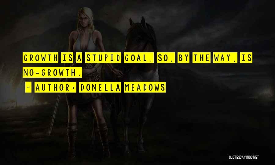 Donella Meadows Quotes: Growth Is A Stupid Goal. So, By The Way, Is No-growth.