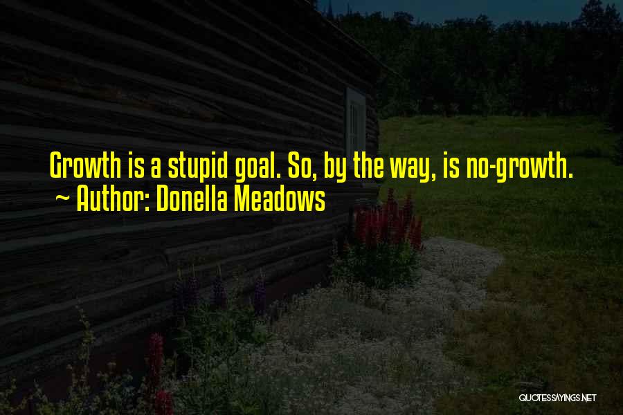Donella Meadows Quotes: Growth Is A Stupid Goal. So, By The Way, Is No-growth.