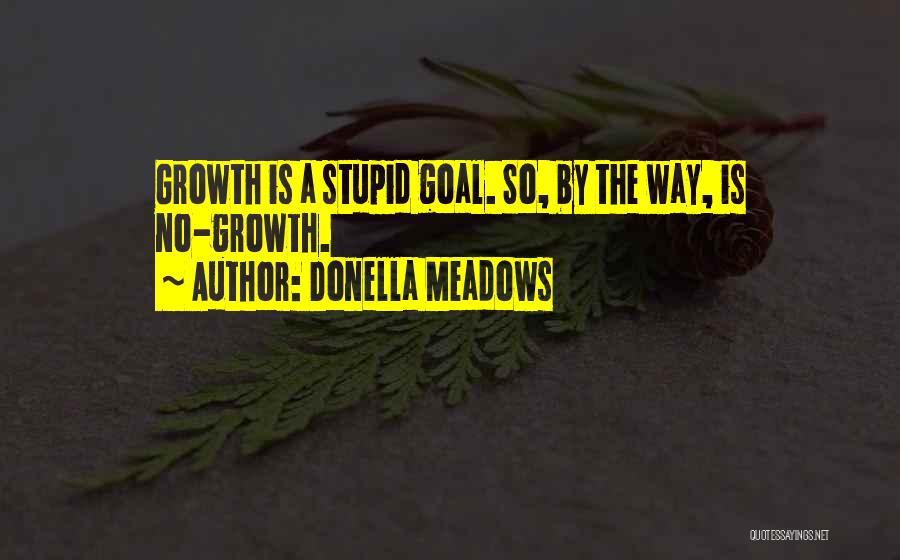Donella Meadows Quotes: Growth Is A Stupid Goal. So, By The Way, Is No-growth.