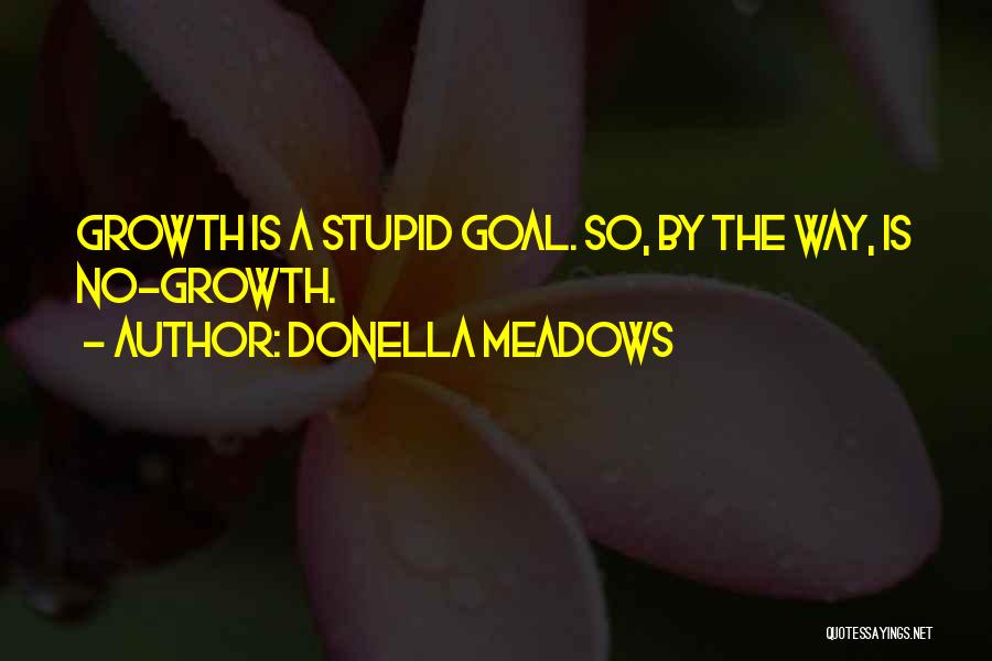 Donella Meadows Quotes: Growth Is A Stupid Goal. So, By The Way, Is No-growth.