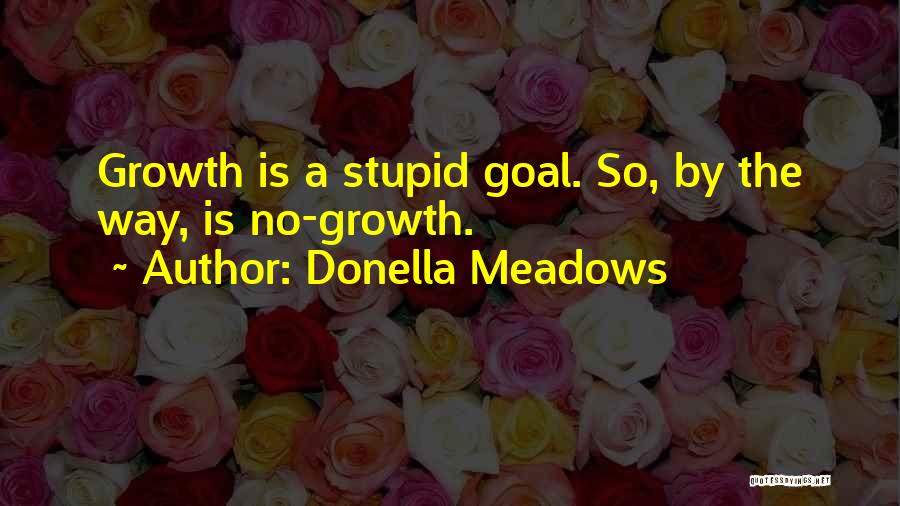 Donella Meadows Quotes: Growth Is A Stupid Goal. So, By The Way, Is No-growth.