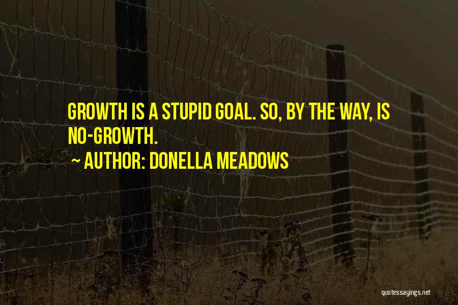 Donella Meadows Quotes: Growth Is A Stupid Goal. So, By The Way, Is No-growth.