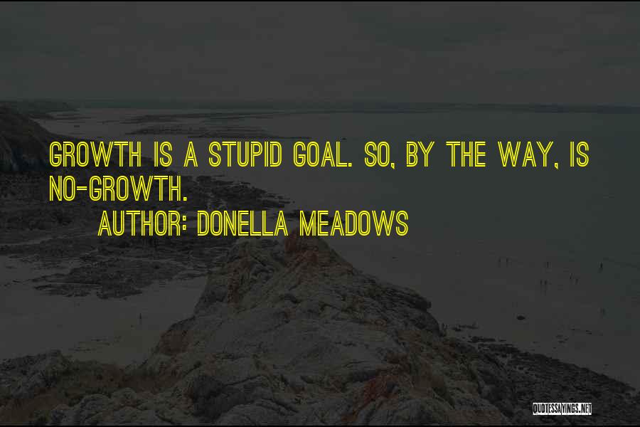 Donella Meadows Quotes: Growth Is A Stupid Goal. So, By The Way, Is No-growth.