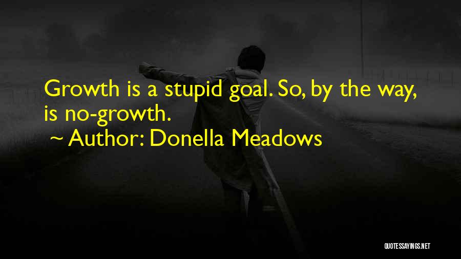 Donella Meadows Quotes: Growth Is A Stupid Goal. So, By The Way, Is No-growth.