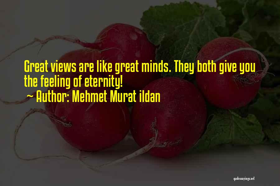 Mehmet Murat Ildan Quotes: Great Views Are Like Great Minds. They Both Give You The Feeling Of Eternity!