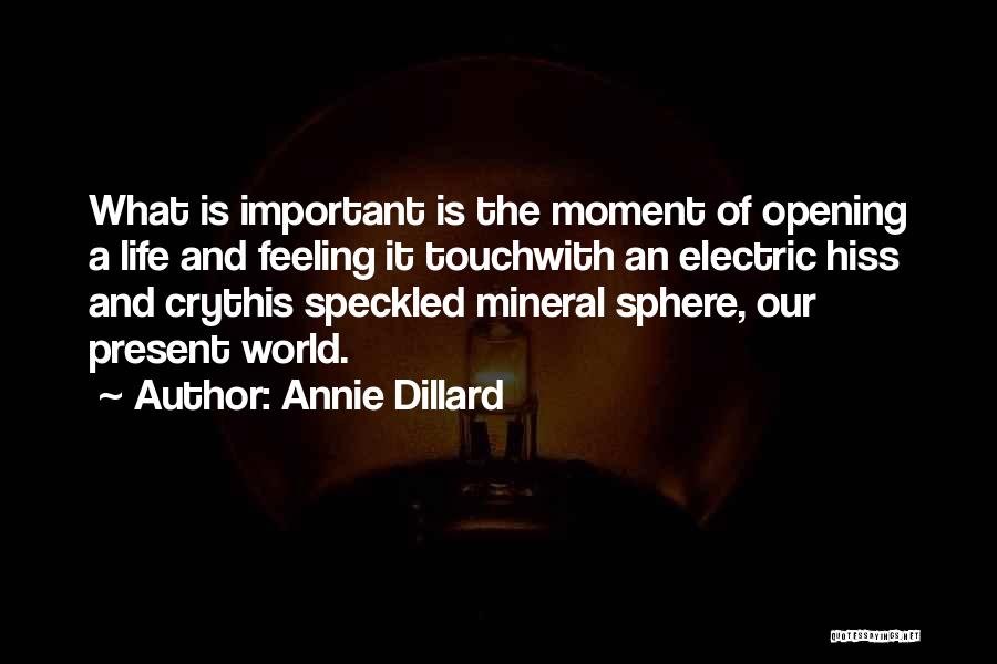 Annie Dillard Quotes: What Is Important Is The Moment Of Opening A Life And Feeling It Touchwith An Electric Hiss And Crythis Speckled