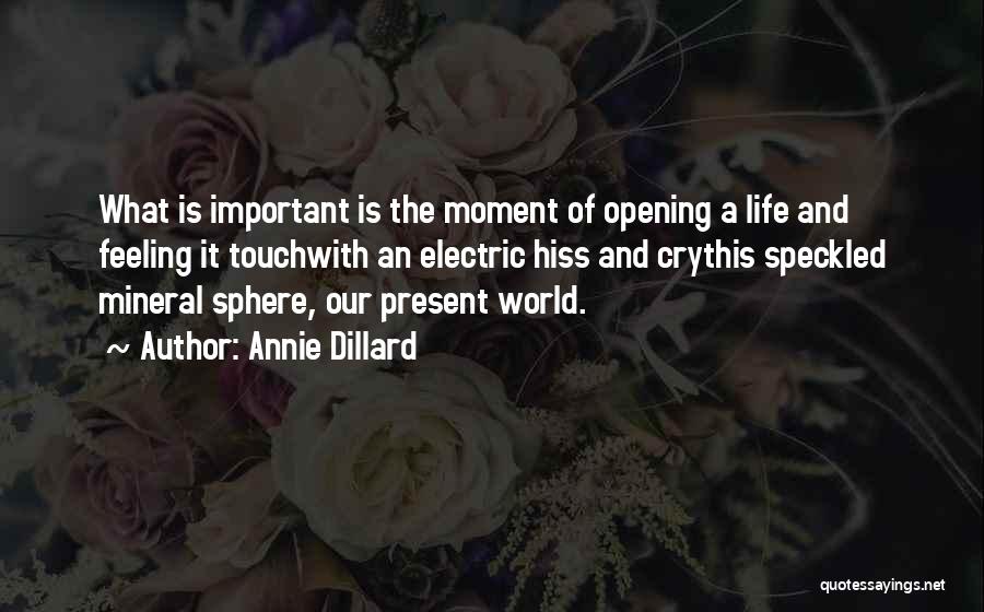 Annie Dillard Quotes: What Is Important Is The Moment Of Opening A Life And Feeling It Touchwith An Electric Hiss And Crythis Speckled