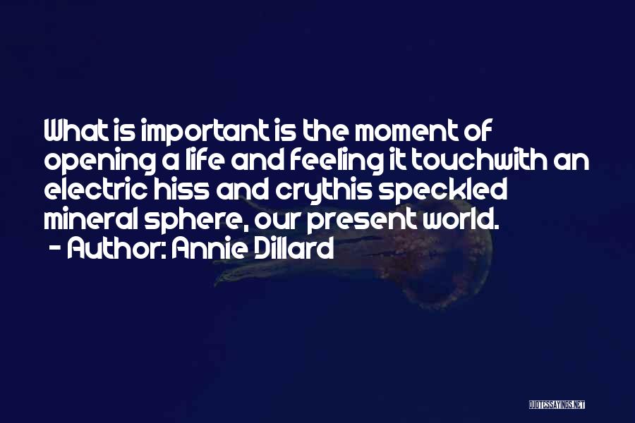 Annie Dillard Quotes: What Is Important Is The Moment Of Opening A Life And Feeling It Touchwith An Electric Hiss And Crythis Speckled