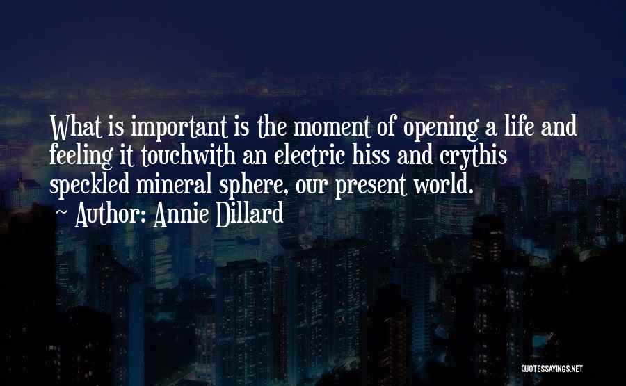 Annie Dillard Quotes: What Is Important Is The Moment Of Opening A Life And Feeling It Touchwith An Electric Hiss And Crythis Speckled