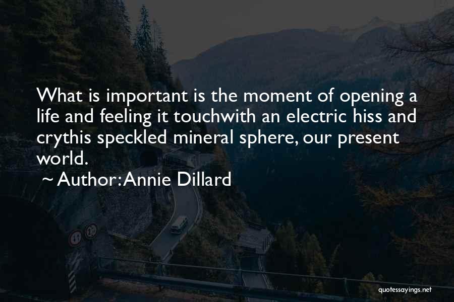 Annie Dillard Quotes: What Is Important Is The Moment Of Opening A Life And Feeling It Touchwith An Electric Hiss And Crythis Speckled