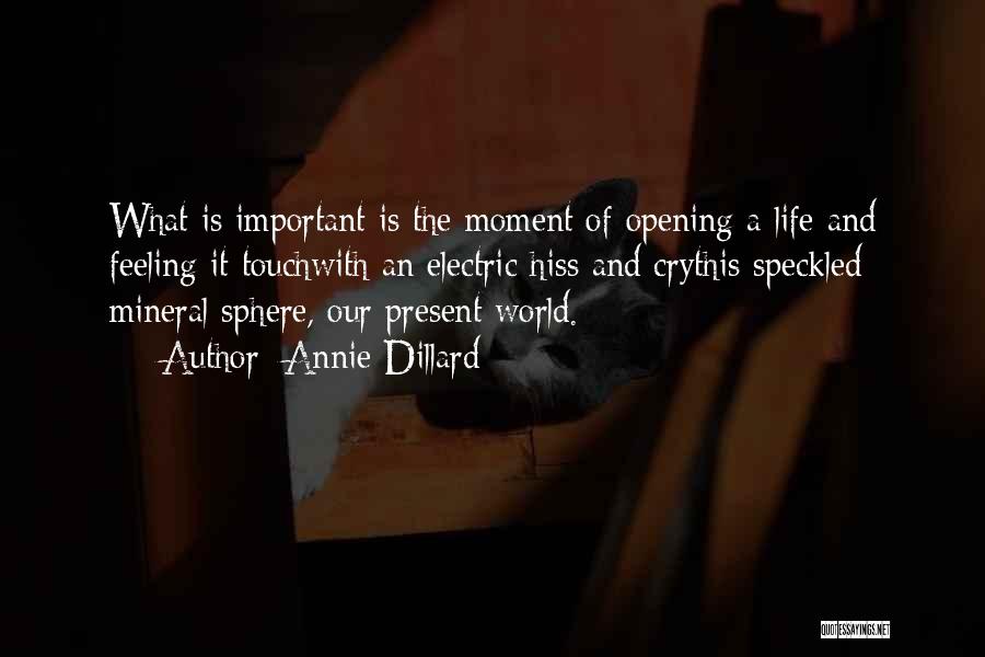 Annie Dillard Quotes: What Is Important Is The Moment Of Opening A Life And Feeling It Touchwith An Electric Hiss And Crythis Speckled