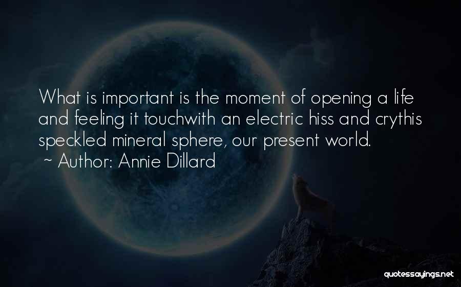 Annie Dillard Quotes: What Is Important Is The Moment Of Opening A Life And Feeling It Touchwith An Electric Hiss And Crythis Speckled
