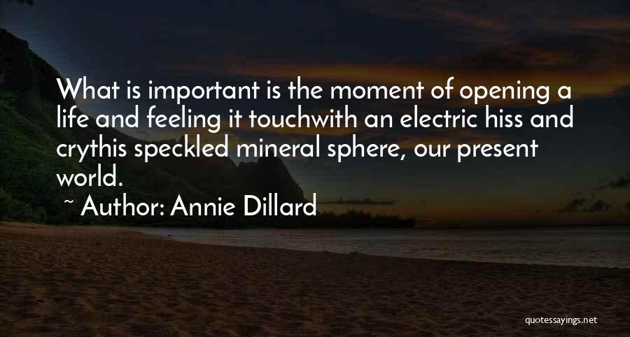 Annie Dillard Quotes: What Is Important Is The Moment Of Opening A Life And Feeling It Touchwith An Electric Hiss And Crythis Speckled