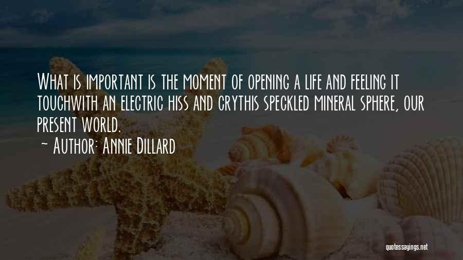 Annie Dillard Quotes: What Is Important Is The Moment Of Opening A Life And Feeling It Touchwith An Electric Hiss And Crythis Speckled