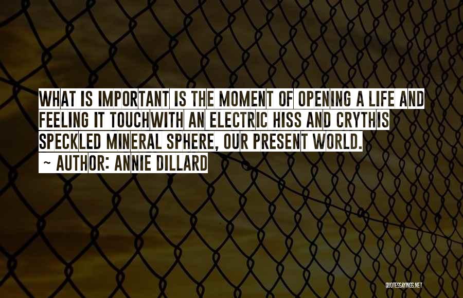 Annie Dillard Quotes: What Is Important Is The Moment Of Opening A Life And Feeling It Touchwith An Electric Hiss And Crythis Speckled