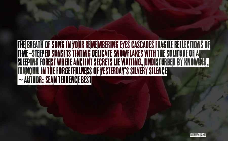 Sean Terrence Best Quotes: The Breath Of Song In Your Remembering Eyes Cascades Fragile Reflections Of Time-steeped Sunsets Tinting Delicate Snowflakes With The Solitude