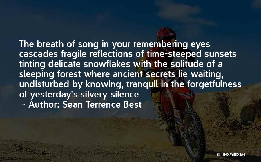 Sean Terrence Best Quotes: The Breath Of Song In Your Remembering Eyes Cascades Fragile Reflections Of Time-steeped Sunsets Tinting Delicate Snowflakes With The Solitude