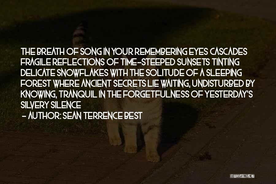 Sean Terrence Best Quotes: The Breath Of Song In Your Remembering Eyes Cascades Fragile Reflections Of Time-steeped Sunsets Tinting Delicate Snowflakes With The Solitude