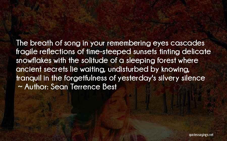 Sean Terrence Best Quotes: The Breath Of Song In Your Remembering Eyes Cascades Fragile Reflections Of Time-steeped Sunsets Tinting Delicate Snowflakes With The Solitude