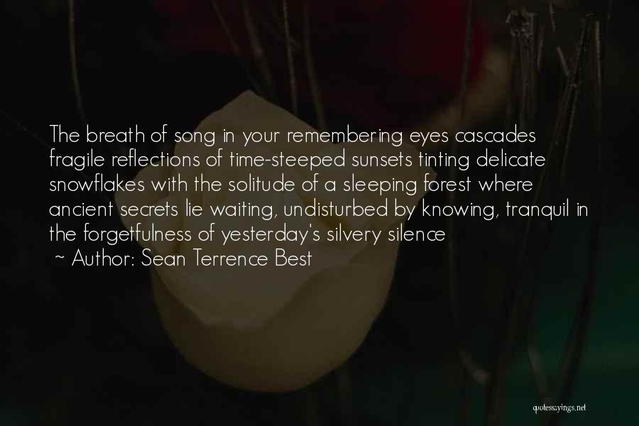 Sean Terrence Best Quotes: The Breath Of Song In Your Remembering Eyes Cascades Fragile Reflections Of Time-steeped Sunsets Tinting Delicate Snowflakes With The Solitude