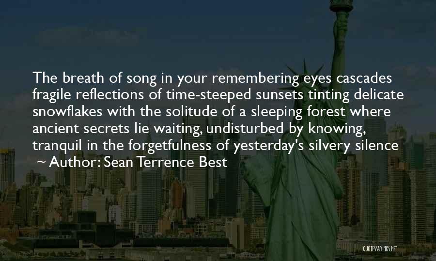 Sean Terrence Best Quotes: The Breath Of Song In Your Remembering Eyes Cascades Fragile Reflections Of Time-steeped Sunsets Tinting Delicate Snowflakes With The Solitude