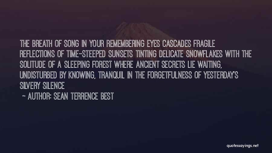 Sean Terrence Best Quotes: The Breath Of Song In Your Remembering Eyes Cascades Fragile Reflections Of Time-steeped Sunsets Tinting Delicate Snowflakes With The Solitude