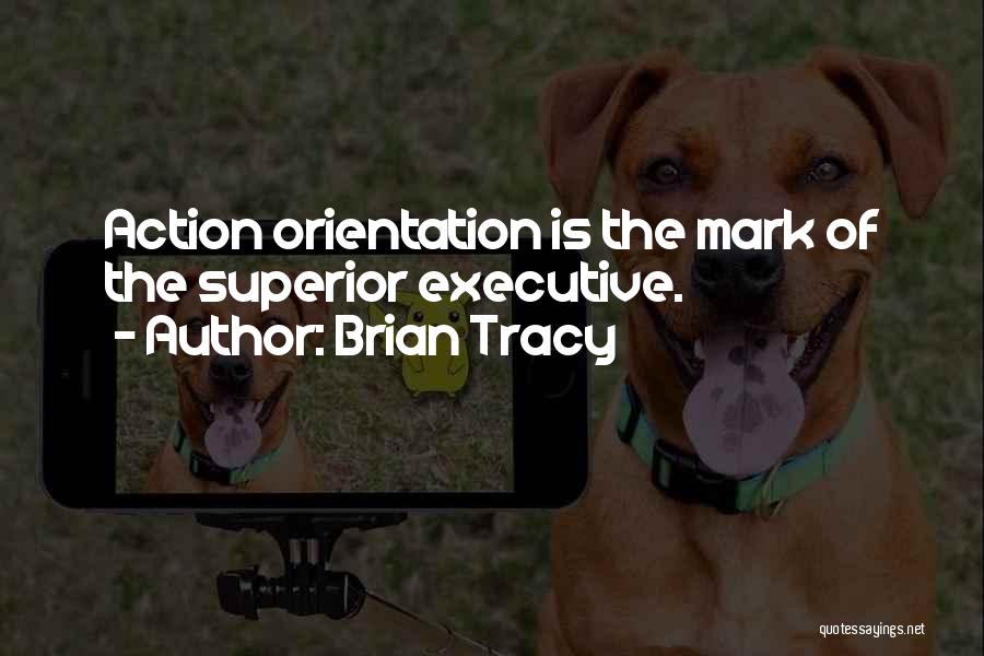 Brian Tracy Quotes: Action Orientation Is The Mark Of The Superior Executive.