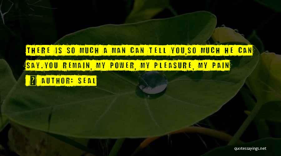 Seal Quotes: There Is So Much A Man Can Tell You,so Much He Can Say.you Remain, My Power, My Pleasure, My Pain