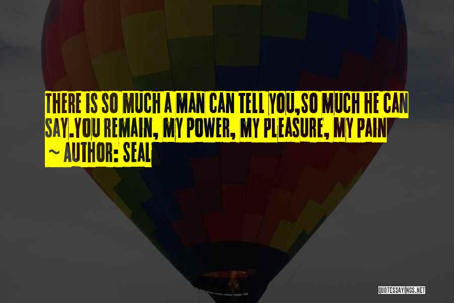Seal Quotes: There Is So Much A Man Can Tell You,so Much He Can Say.you Remain, My Power, My Pleasure, My Pain