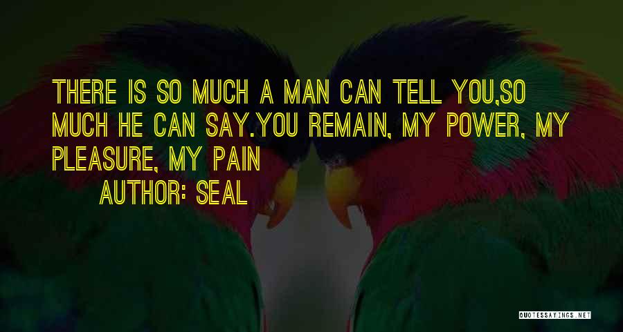 Seal Quotes: There Is So Much A Man Can Tell You,so Much He Can Say.you Remain, My Power, My Pleasure, My Pain