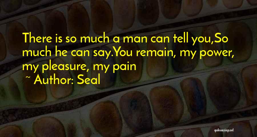 Seal Quotes: There Is So Much A Man Can Tell You,so Much He Can Say.you Remain, My Power, My Pleasure, My Pain