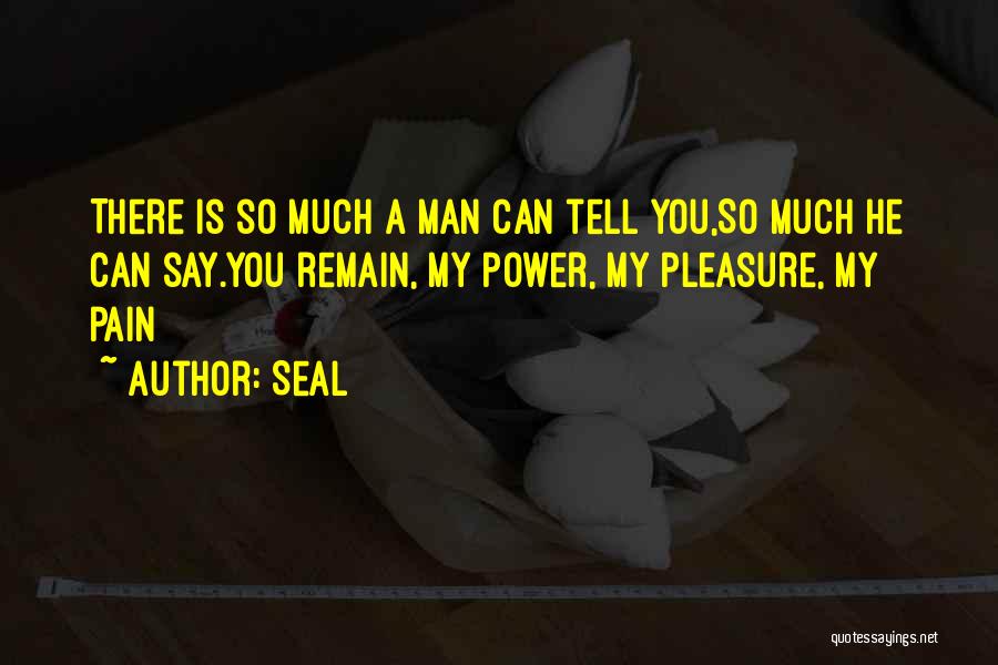 Seal Quotes: There Is So Much A Man Can Tell You,so Much He Can Say.you Remain, My Power, My Pleasure, My Pain