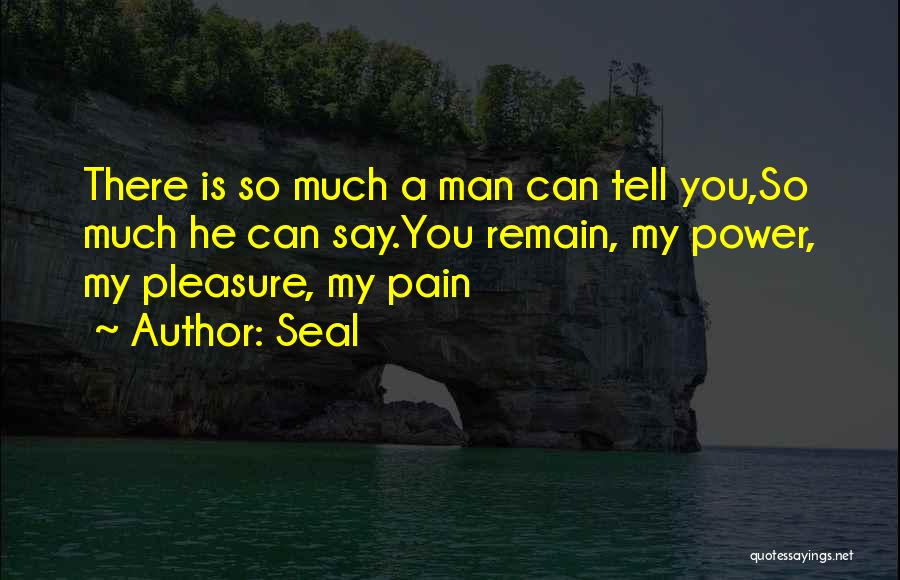 Seal Quotes: There Is So Much A Man Can Tell You,so Much He Can Say.you Remain, My Power, My Pleasure, My Pain