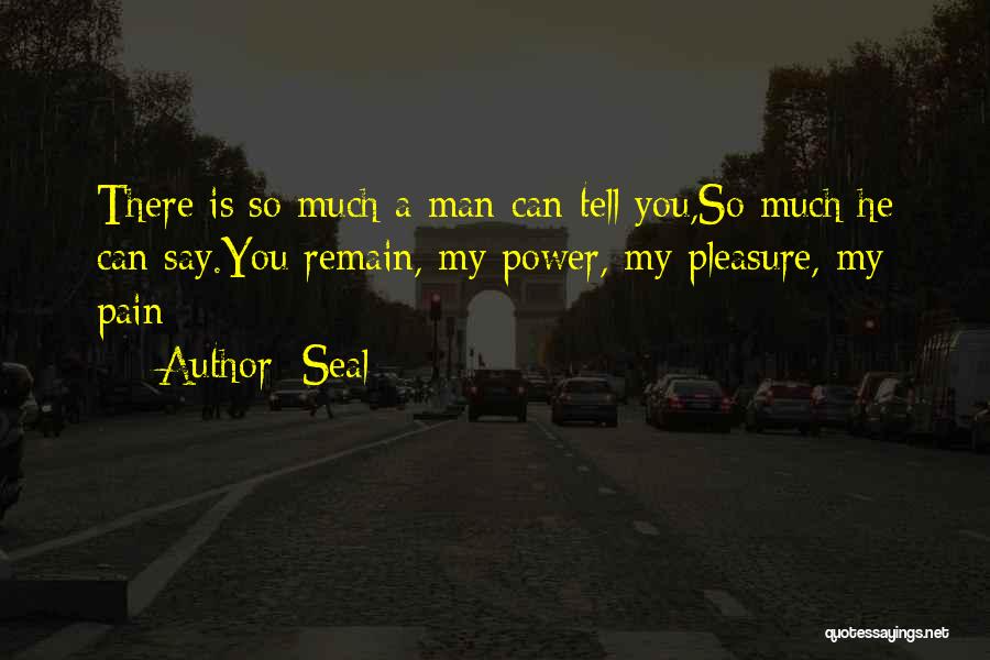 Seal Quotes: There Is So Much A Man Can Tell You,so Much He Can Say.you Remain, My Power, My Pleasure, My Pain