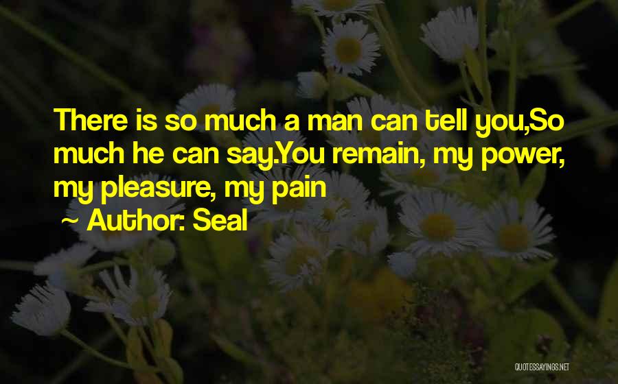 Seal Quotes: There Is So Much A Man Can Tell You,so Much He Can Say.you Remain, My Power, My Pleasure, My Pain
