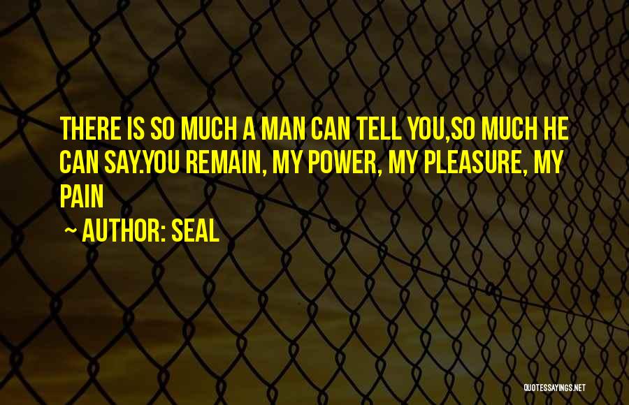 Seal Quotes: There Is So Much A Man Can Tell You,so Much He Can Say.you Remain, My Power, My Pleasure, My Pain