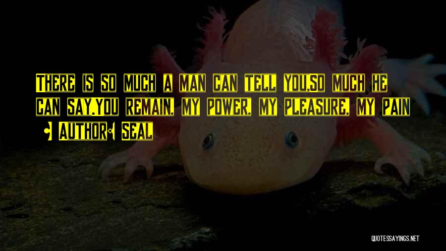 Seal Quotes: There Is So Much A Man Can Tell You,so Much He Can Say.you Remain, My Power, My Pleasure, My Pain