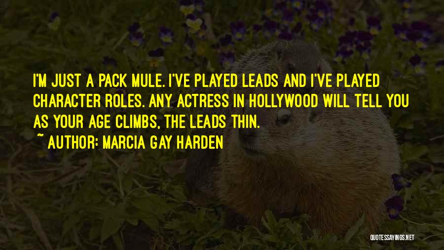 Marcia Gay Harden Quotes: I'm Just A Pack Mule. I've Played Leads And I've Played Character Roles. Any Actress In Hollywood Will Tell You