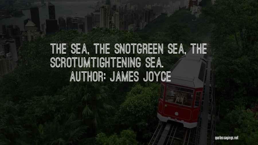 James Joyce Quotes: The Sea, The Snotgreen Sea, The Scrotumtightening Sea.