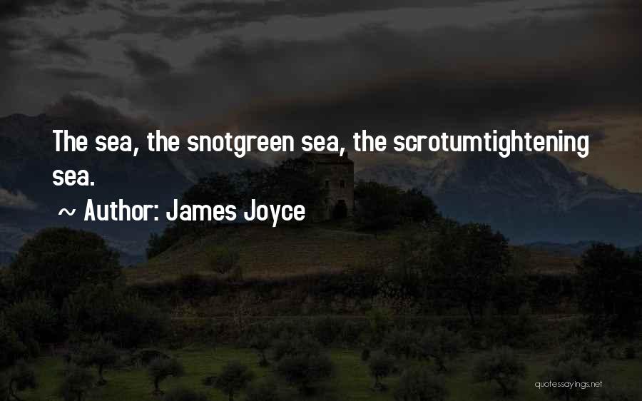 James Joyce Quotes: The Sea, The Snotgreen Sea, The Scrotumtightening Sea.