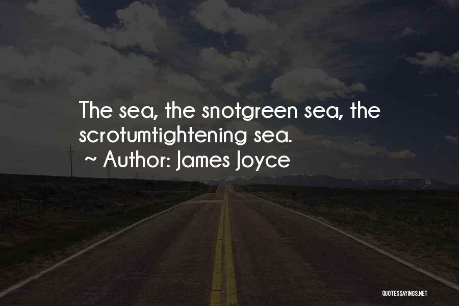 James Joyce Quotes: The Sea, The Snotgreen Sea, The Scrotumtightening Sea.