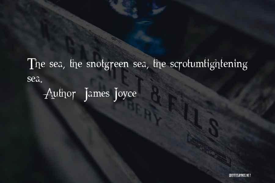 James Joyce Quotes: The Sea, The Snotgreen Sea, The Scrotumtightening Sea.