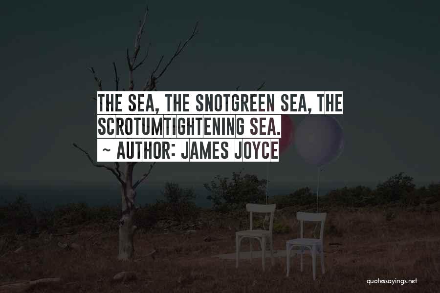 James Joyce Quotes: The Sea, The Snotgreen Sea, The Scrotumtightening Sea.